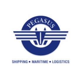 Pegasus logo